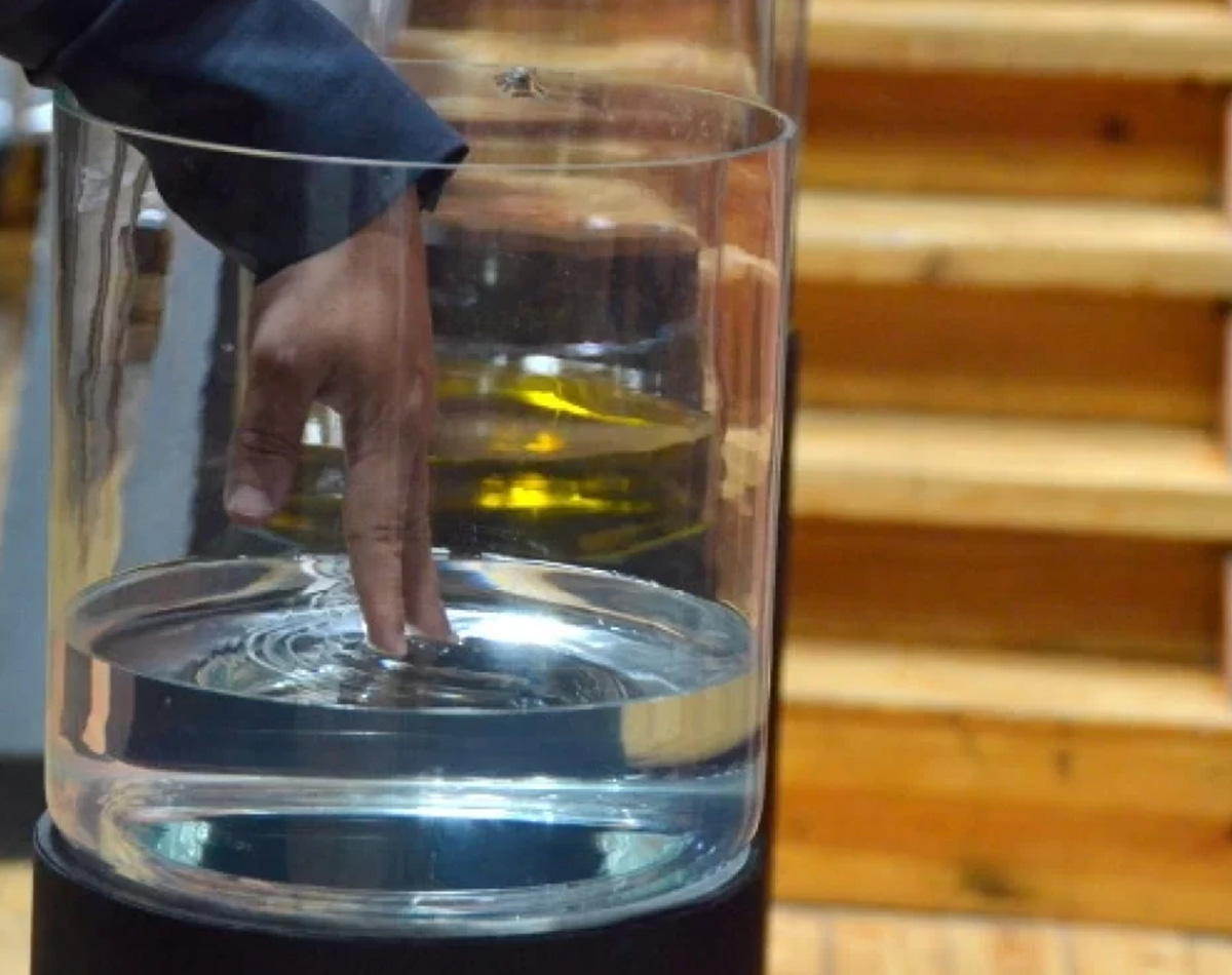 Consagrações Internacionais – Alvalade – 2019