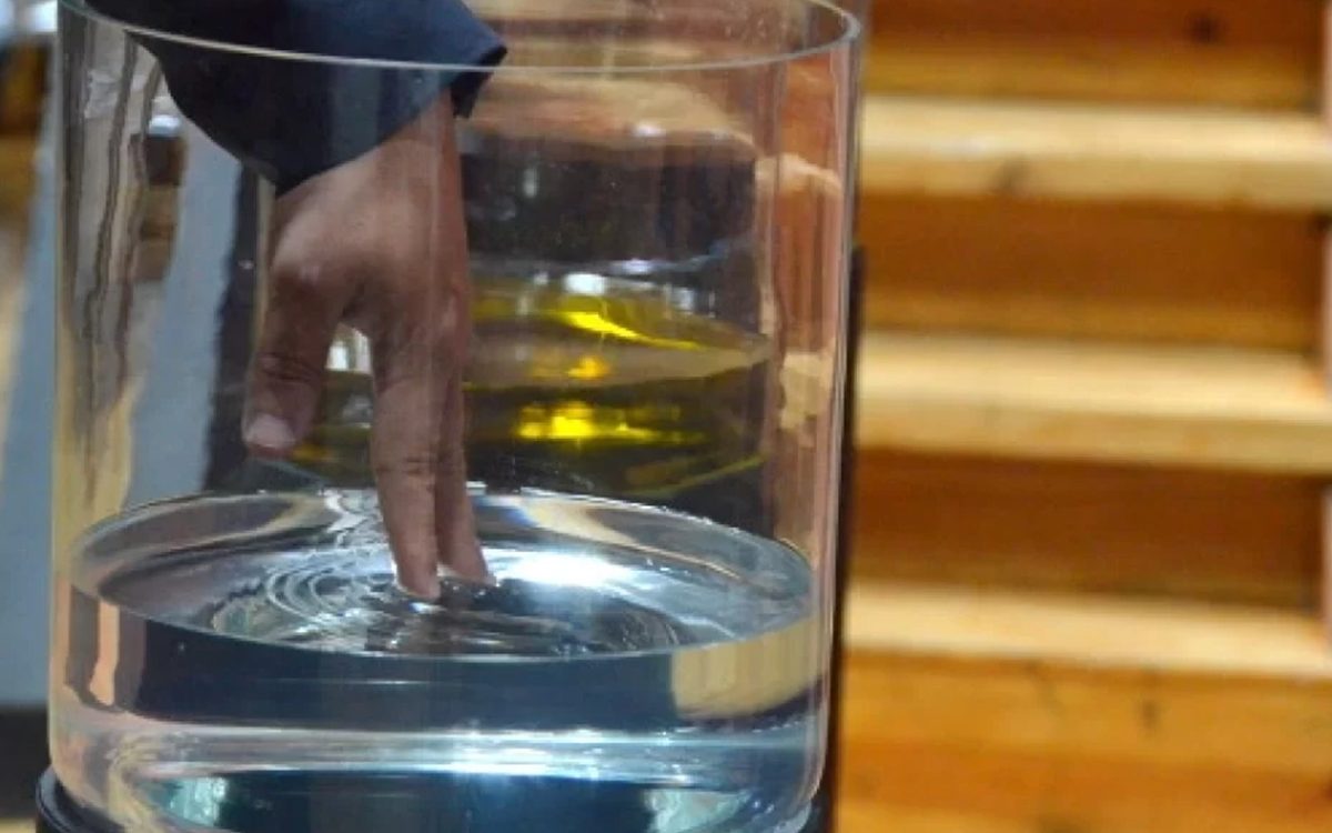 Consagrações Internacionais – Alvalade – 2019